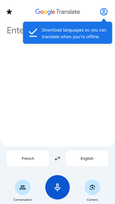 Google Translate's download-languages screen - install the Chinese pack before departure so translation keeps working without a signal