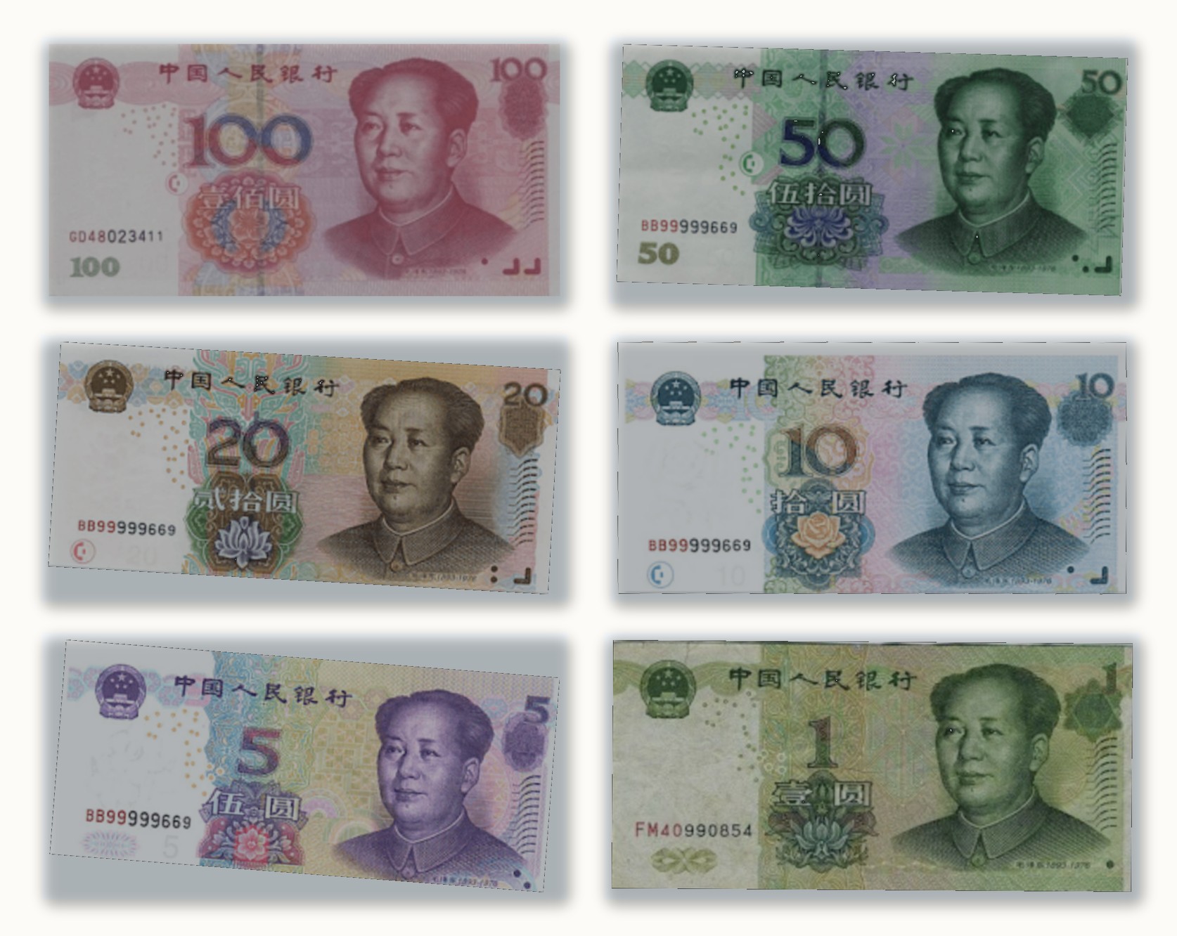 All six RMB banknote denominations (100, 50, 20, 10, 5 and 1 yuan) - carry a few small bills as a backup for cash-only stalls and rural markets