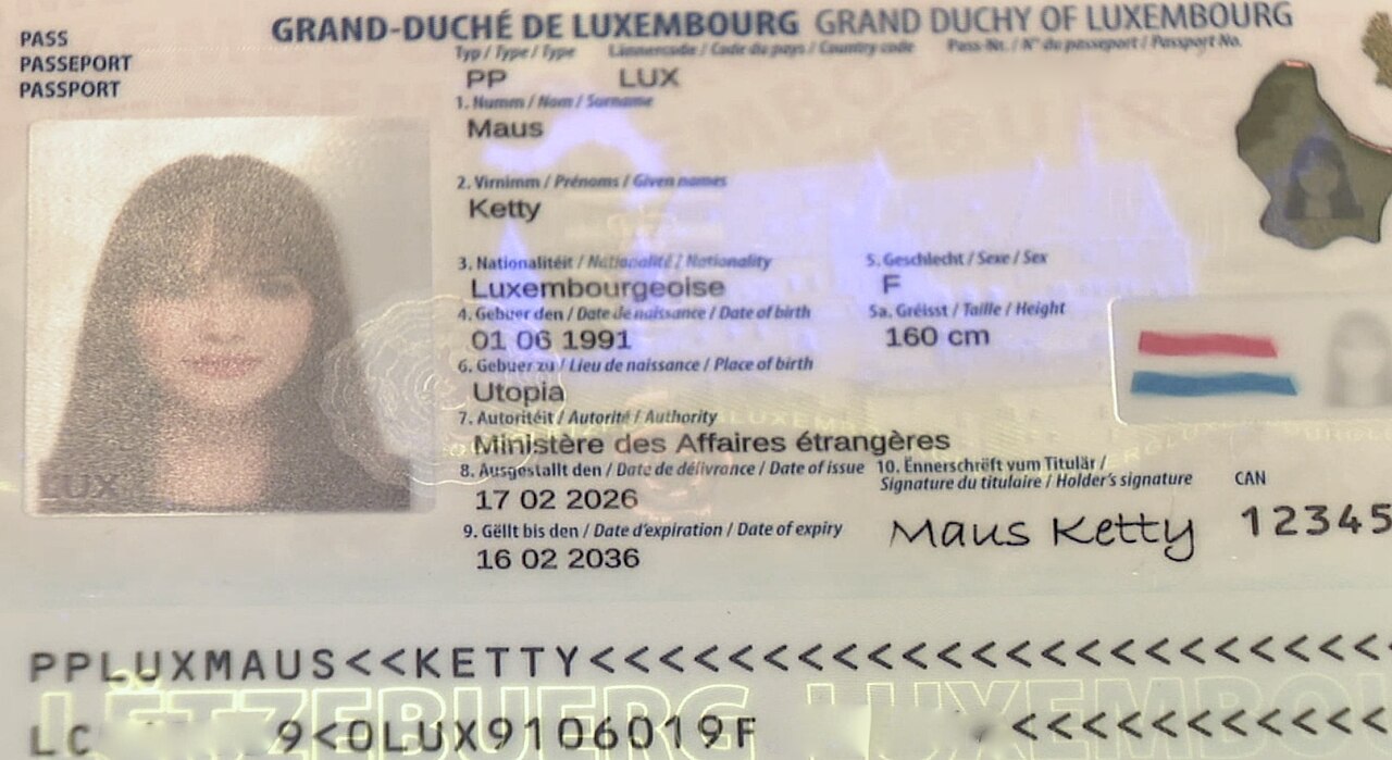 A specimen passport — during verification you photograph the passport data page and take a quick selfie