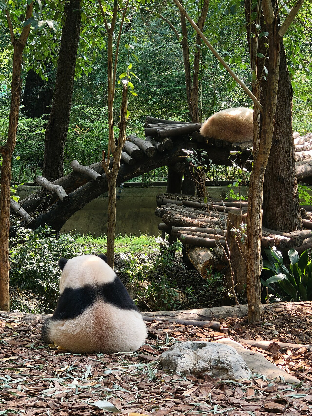 Villa 6 — Panda Huahua